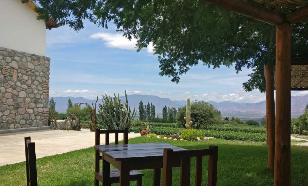 Bodega Domingo Molina景点图片