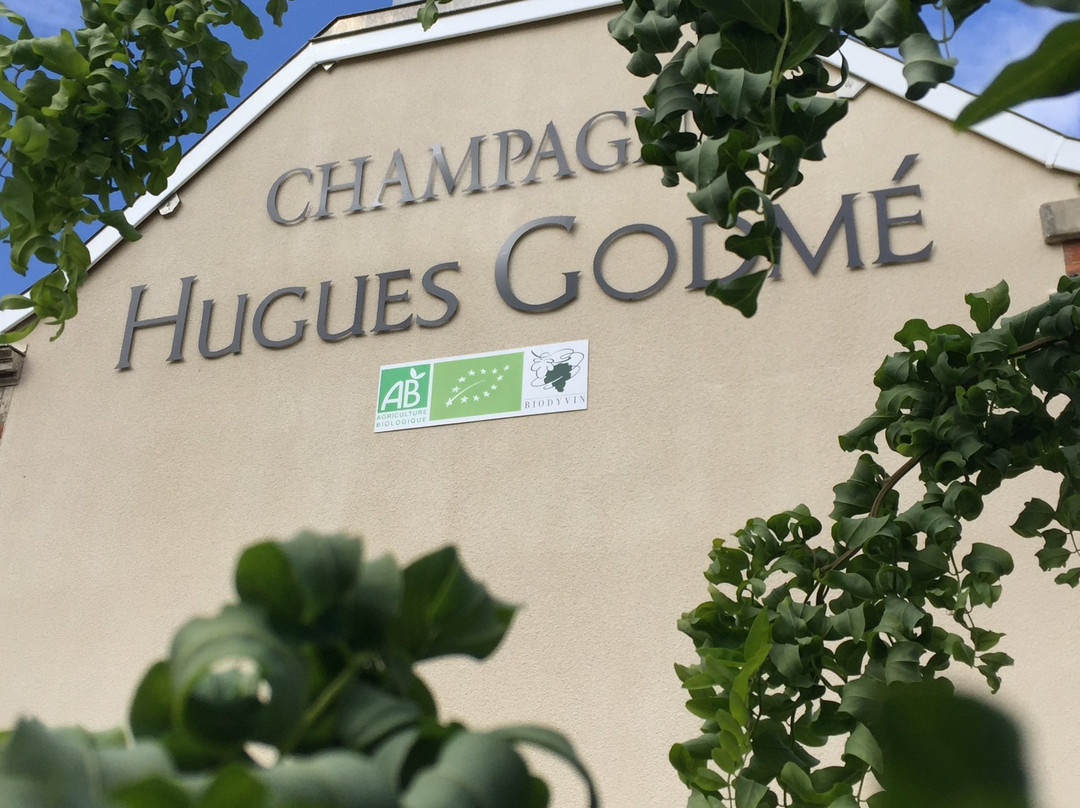 Champagne Hugues Godmé景点图片