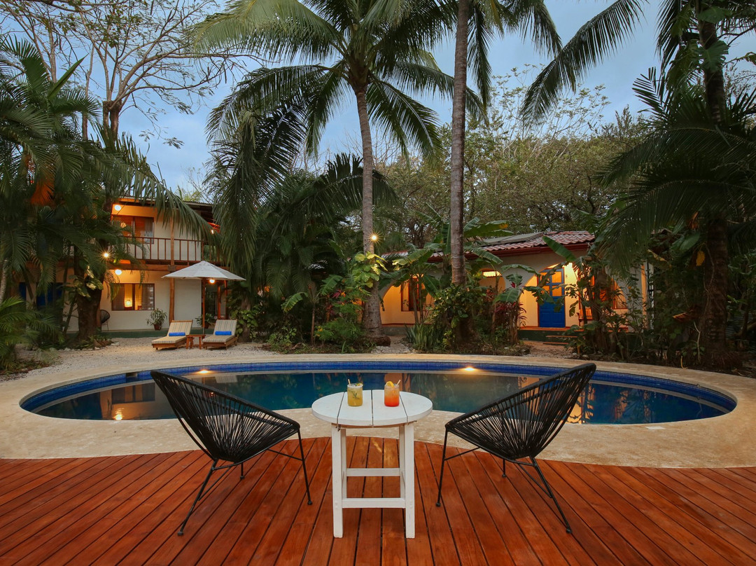 The Sunset Shack主图