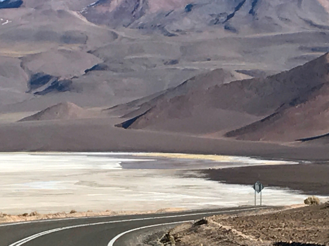 Salar de Ascotan景点图片