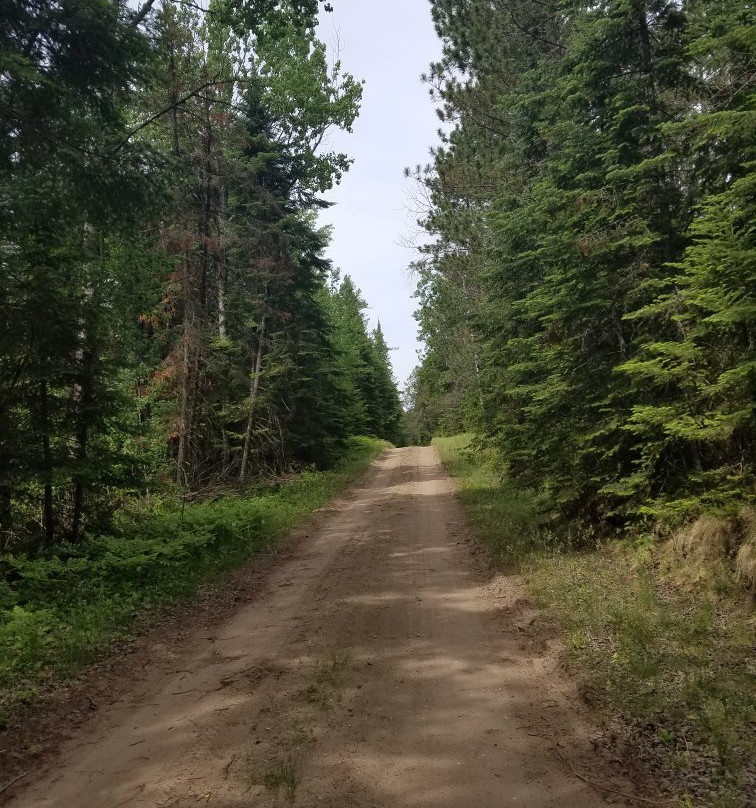 Hayes Lake State Park景点图片