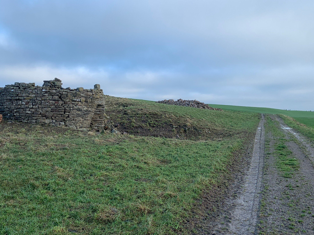 Cottage in the Dales