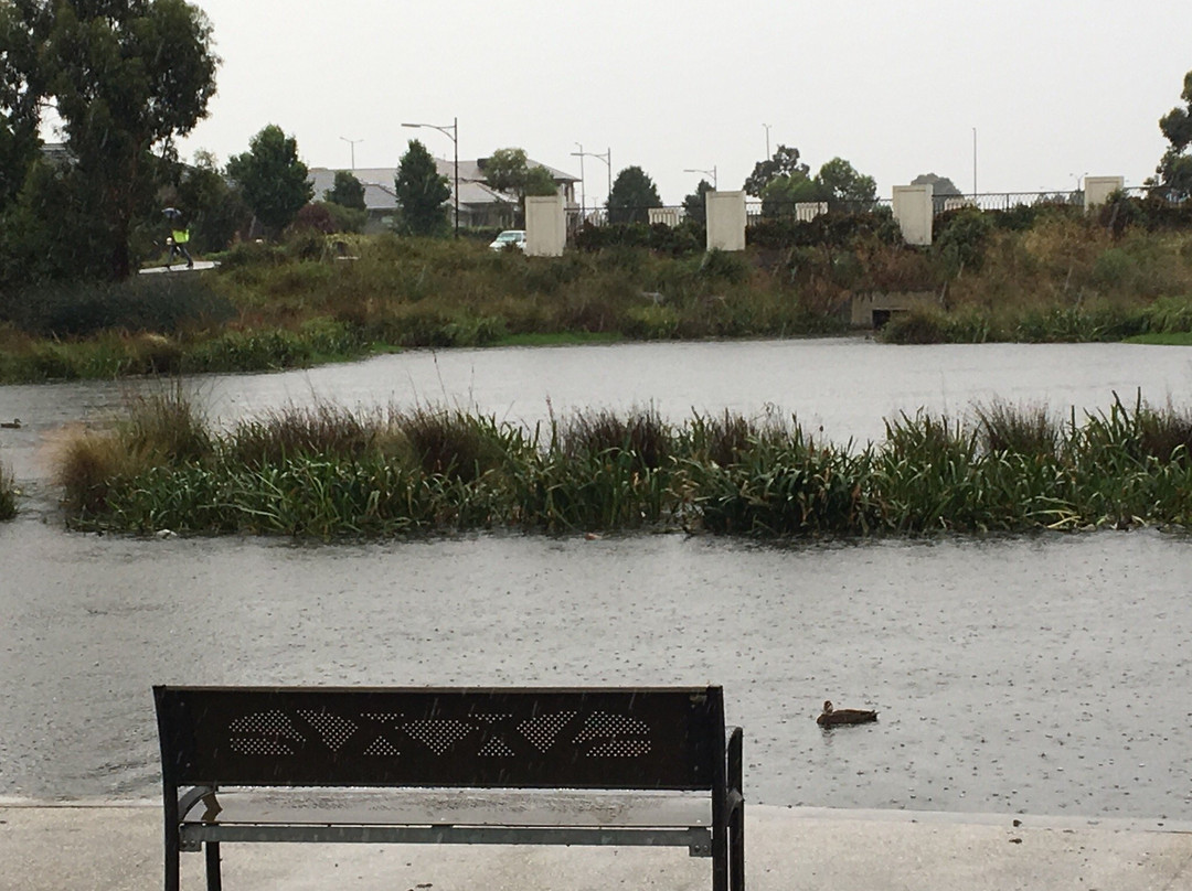 Caversham Waters Wetland景点图片