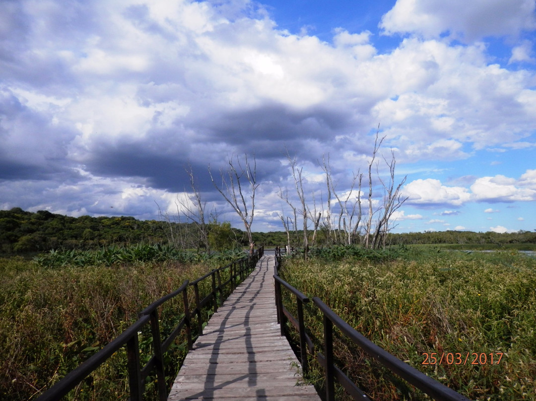 Parque Nacional Pre-Delta景点图片