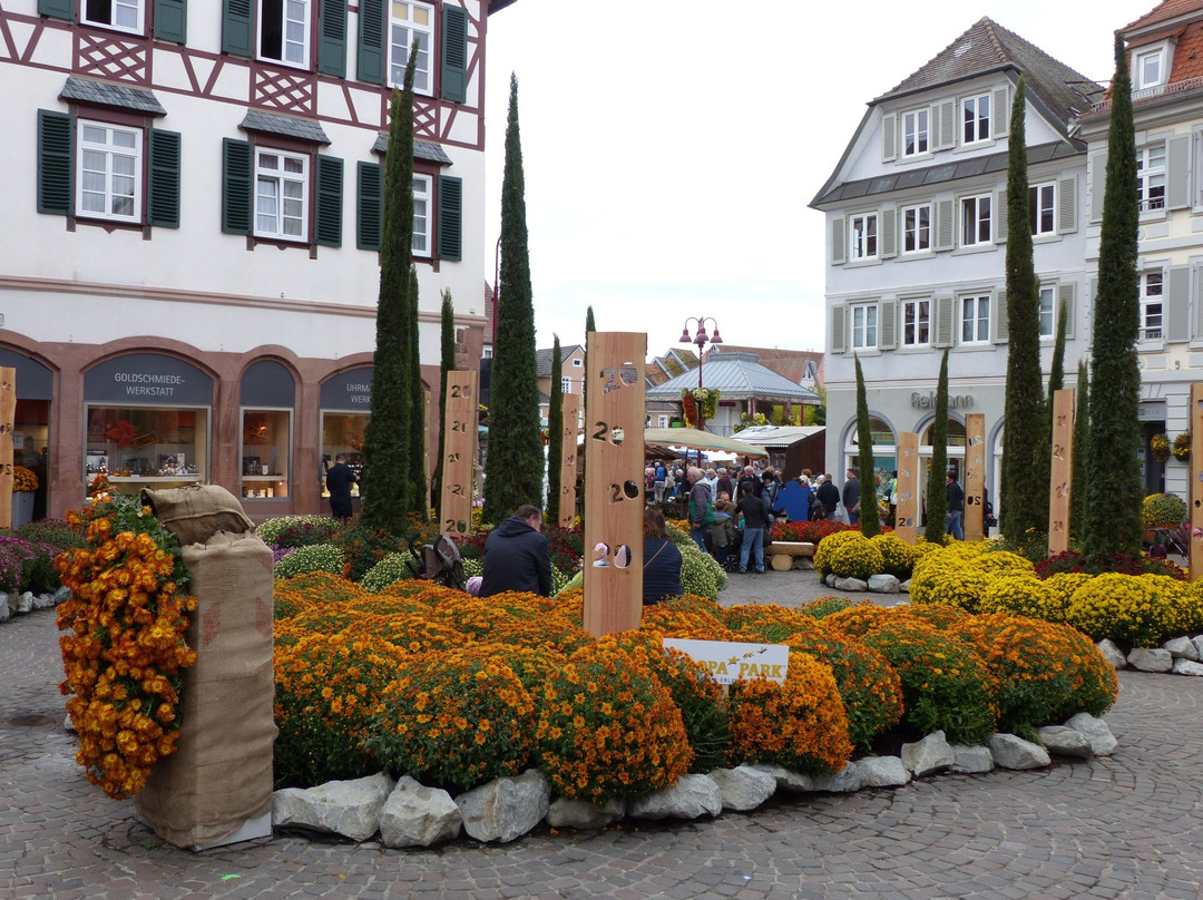 Fuehrungen + Rundgaenge-拉尔必去景点