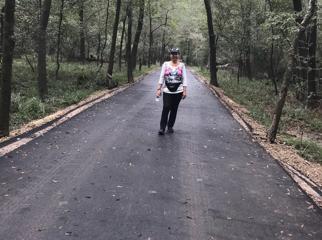 Jesse H. Jones Park and Nature Reserve-汉布尔必去景点