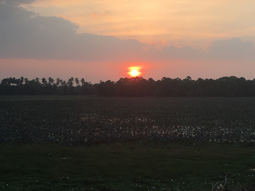 Nayaru Lagoon-Mullaittivu必去景点