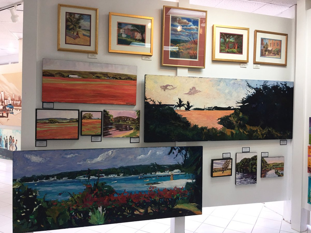 Kennedy Gallery/Cayman Fine Art,Framing & Printing-乔治城必去景点