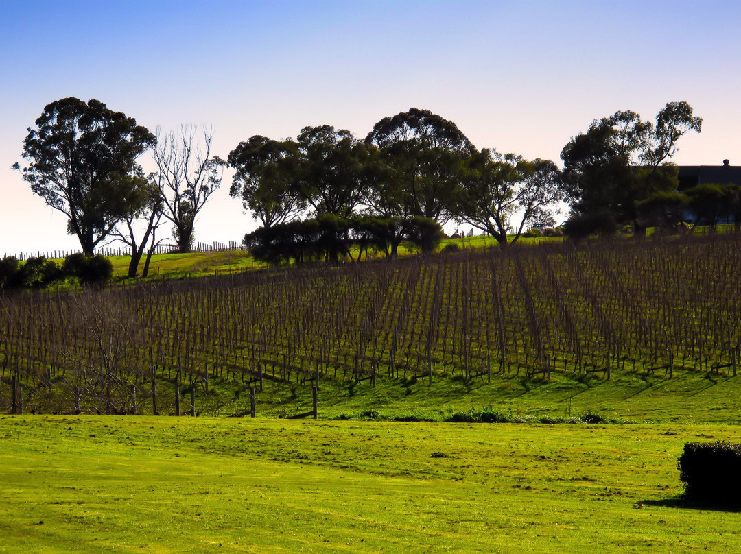 Dominique Portet Winery景点图片