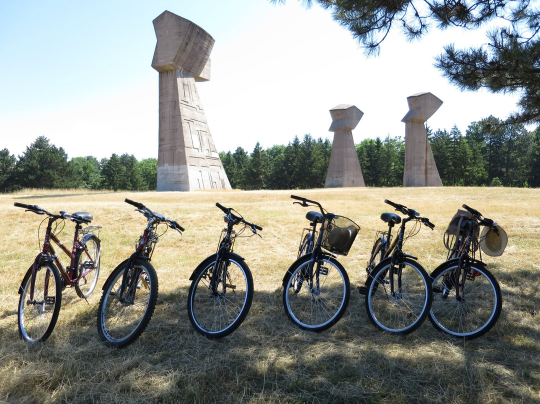 Eco Bike Tour Nis景点图片