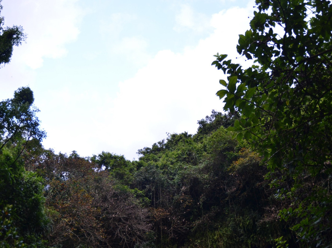 Ma'an Ridge Volcanic Crater-海口市必去景点