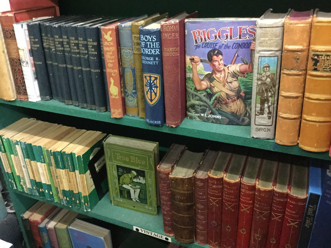 Elizabeth's Secondhand Bookshop-新镇必去景点