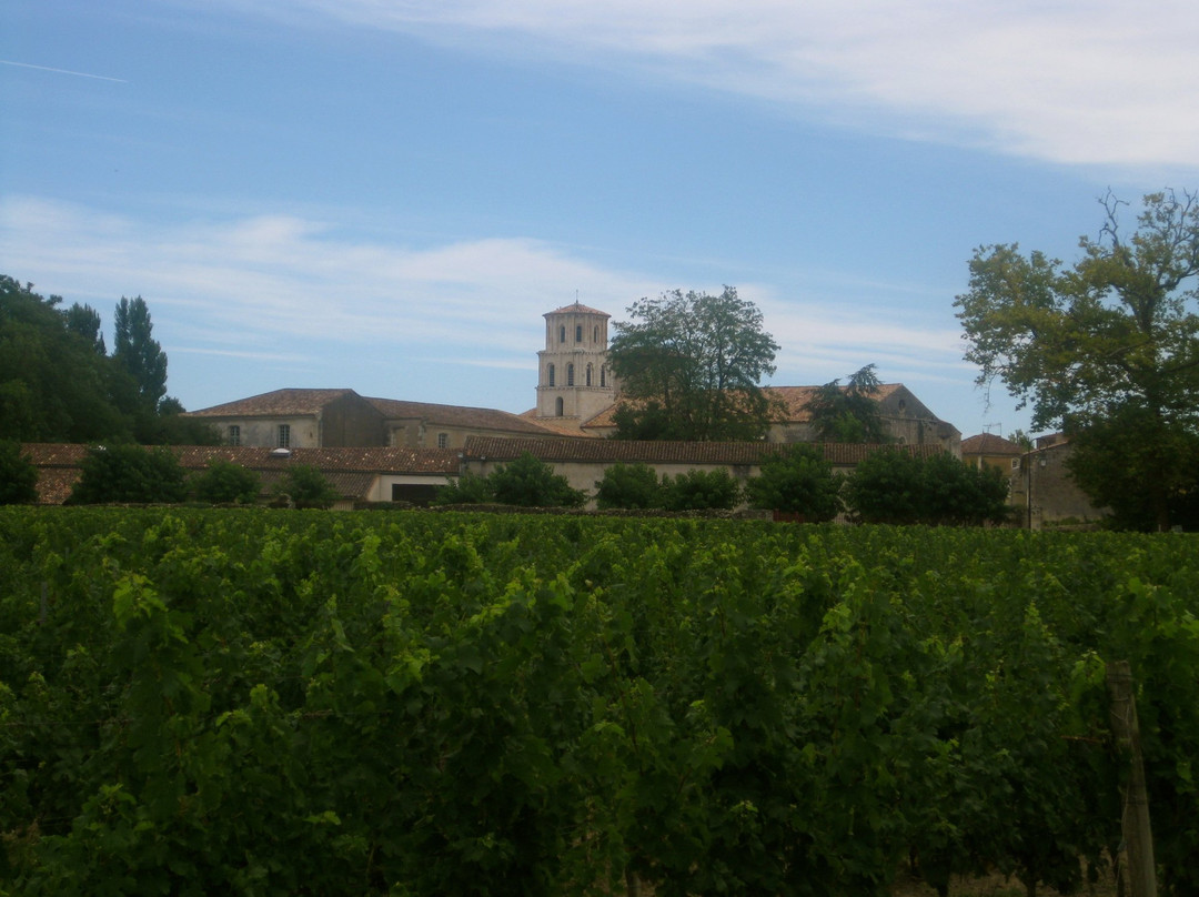 Abbaye de Vertheuil景点图片