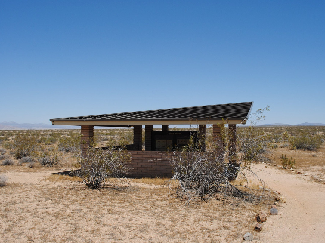 Desert Tortoise Natural Area-California City必去景点