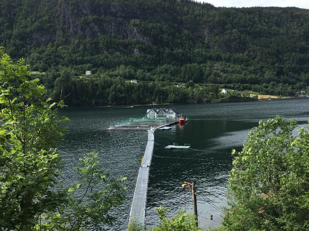 Hardanger Akvasenter-Steinsto必去景点