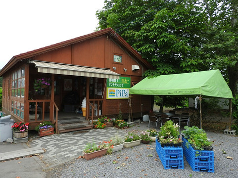 Antenna Shop Pipa-美呗市必去景点