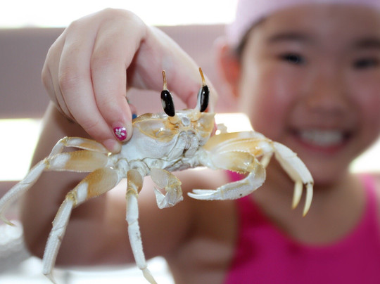 GRAND SRI LANKA TOURS-科伦坡必去景点