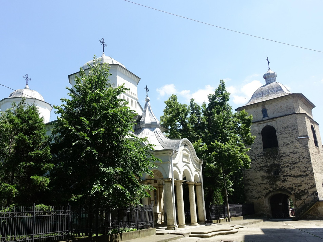 Barnovschi Church景点图片