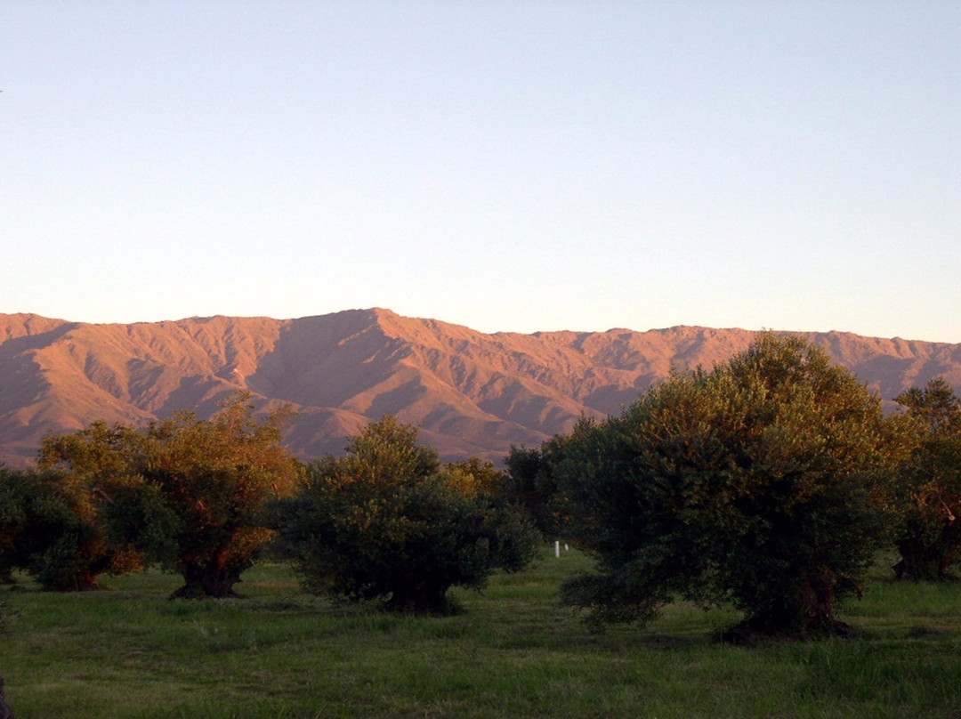 Olium-Villa Las Rosas必去景点