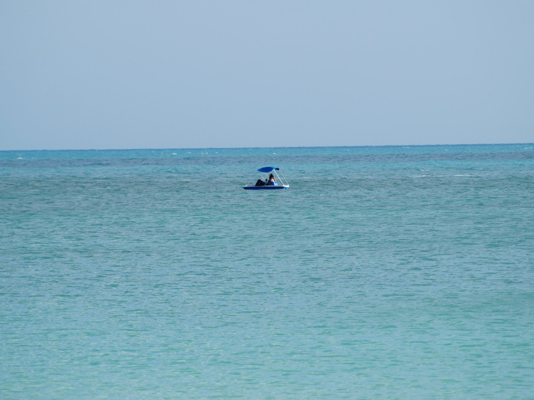 T&C Blue-格雷斯湾必去景点