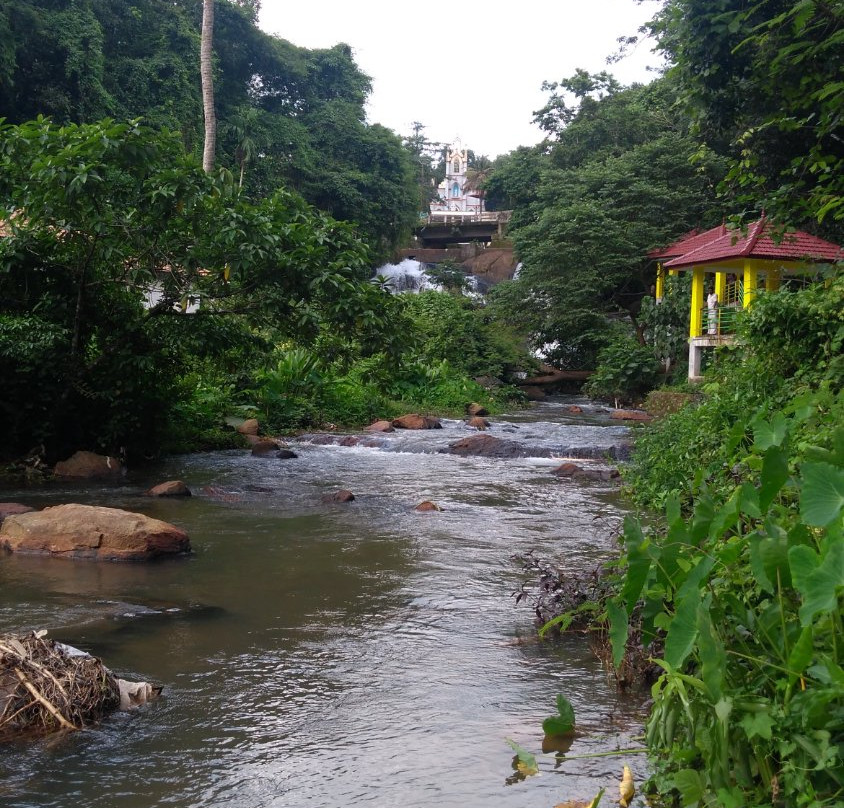 Aruvikkuzhi Waterfall景点图片