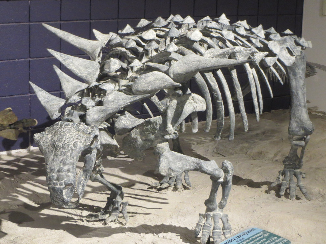 Utah State University Eastern Prehistoric Museum-普赖斯必去景点