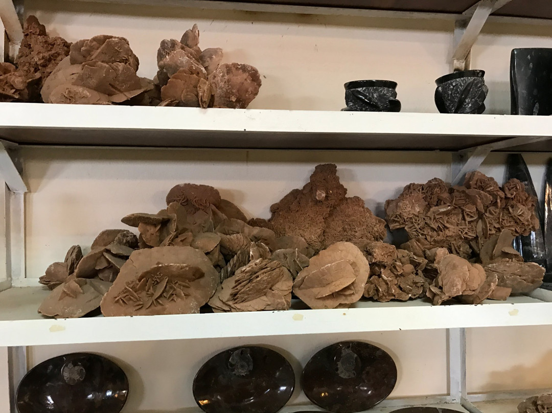 Mezane Fossil Store-Rissani必去景点