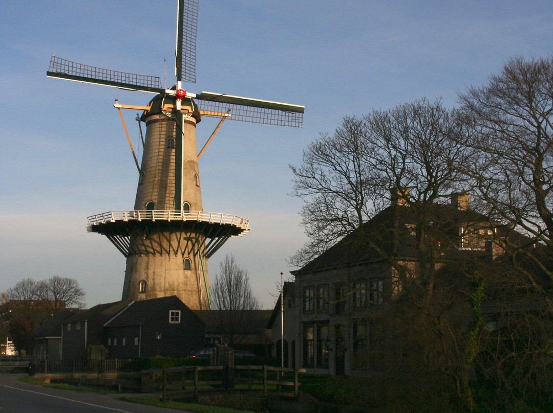 Molen Windlust, Wateringen-Wateringen必去景点