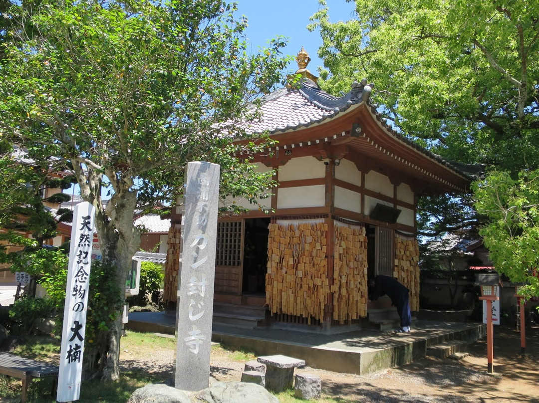 Muryoji Temple-蒲郡港必去景点