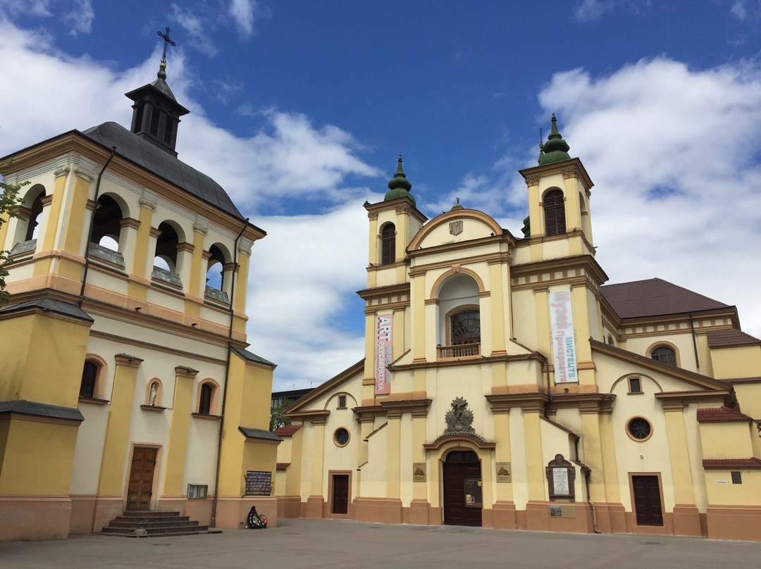 Prycarpathian Museum of Arts-Ivano-Frankivsk必去景点