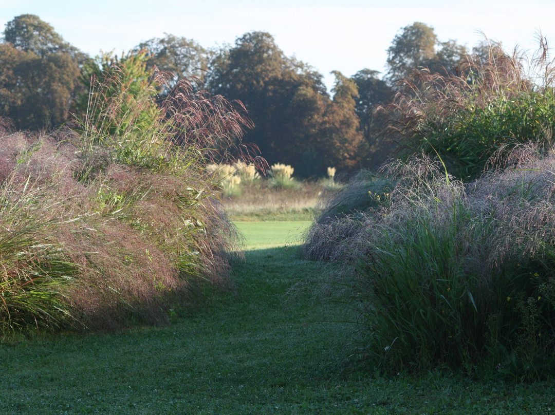Garden Golf Foret de Chantilly景点图片