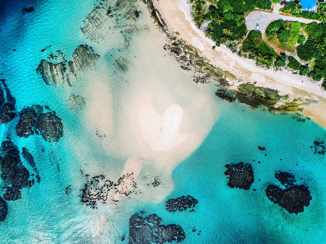 Ha'apai Divers At Matafonua Lodge Resort景点图片