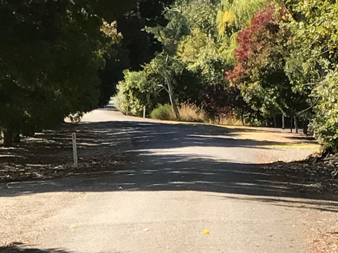 Penna Lane Wines-Penwortham必去景点