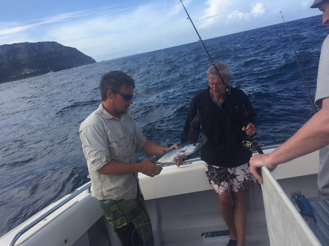 Sydney Sea Charters-巴尔曼必去景点