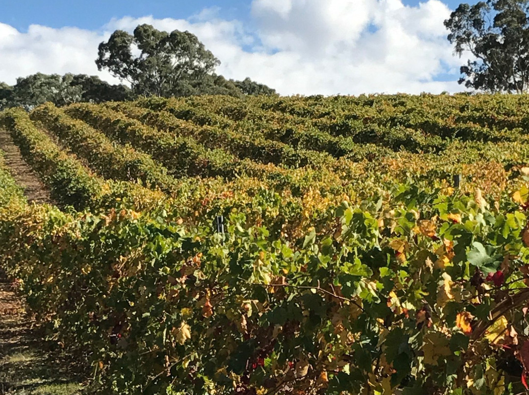 Penna Lane Wines-Penwortham必去景点