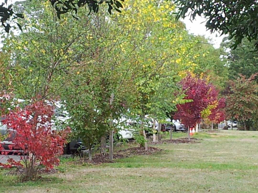 Trentham旅游景点-Quarry St Reserve