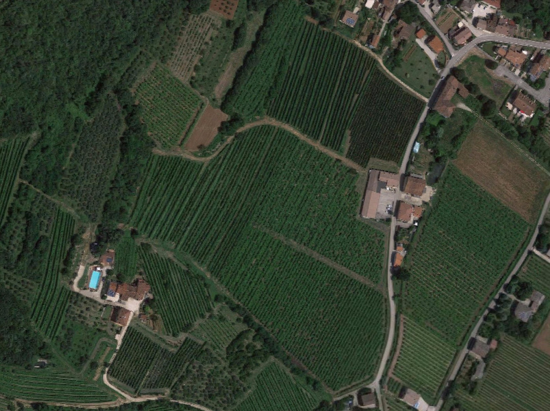 Cantina Nani 1967 - Tenuta Castello di Rubaro景点图片