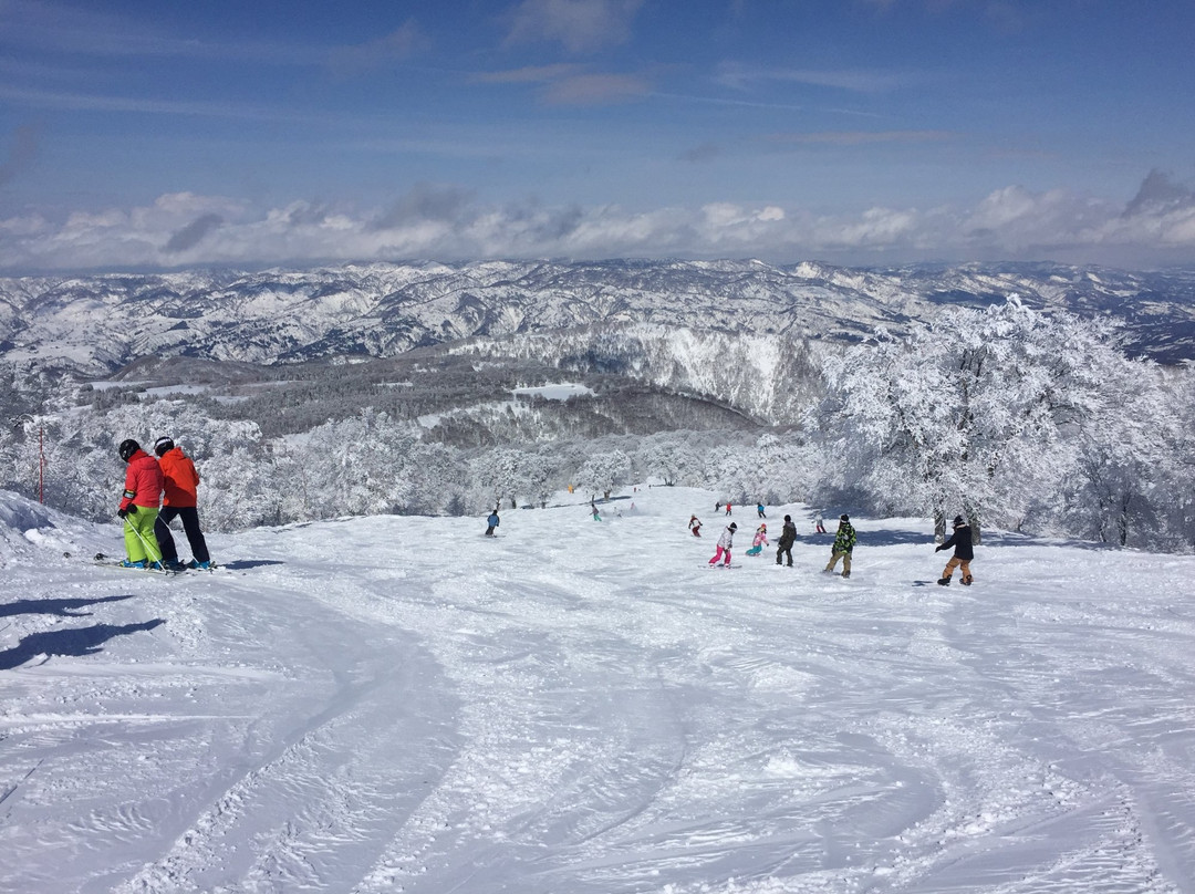 Nozawa Onsen Ski Resort景点图片