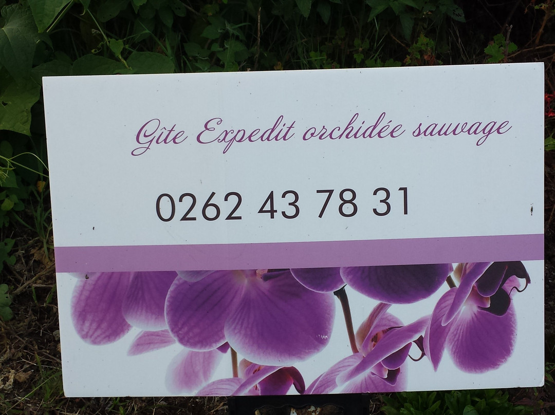 Gite Expedit Orchidee Sauvage主图
