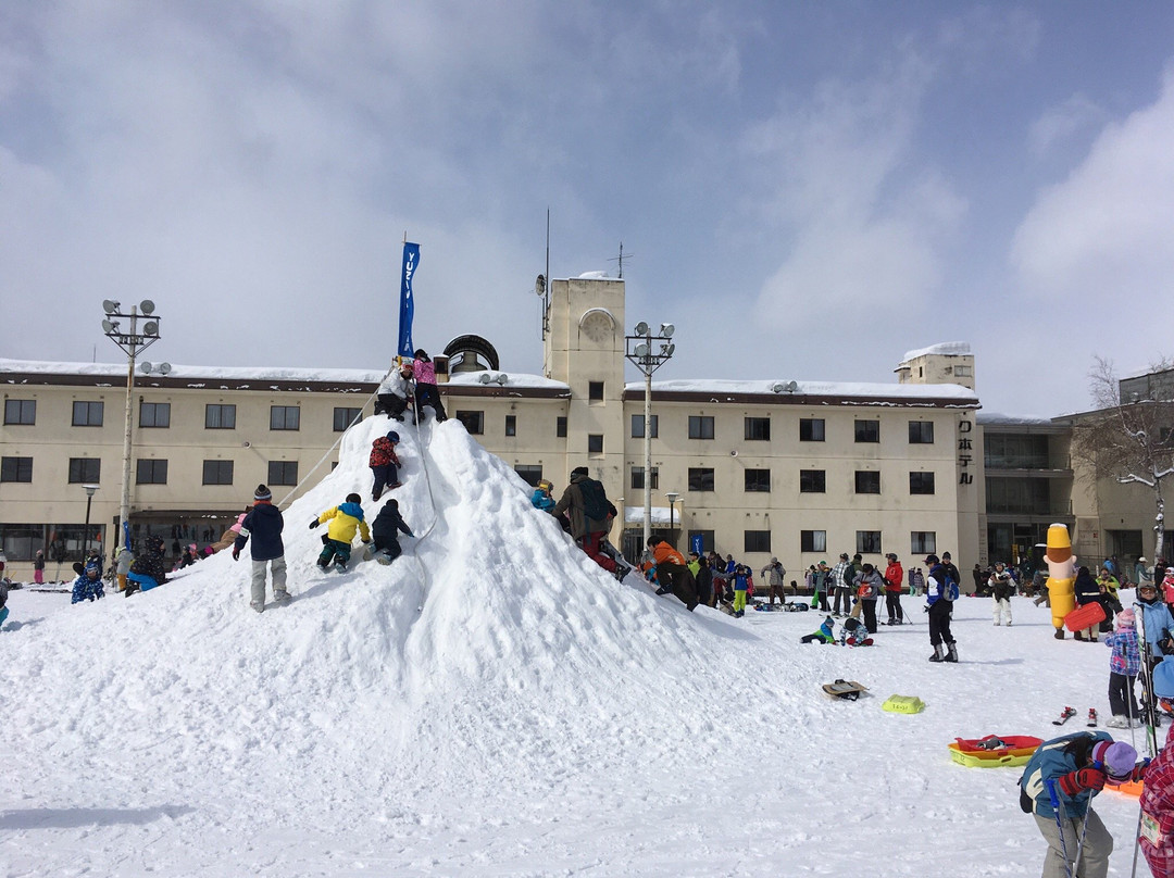 Yuzawa Park Ski Resort景点图片