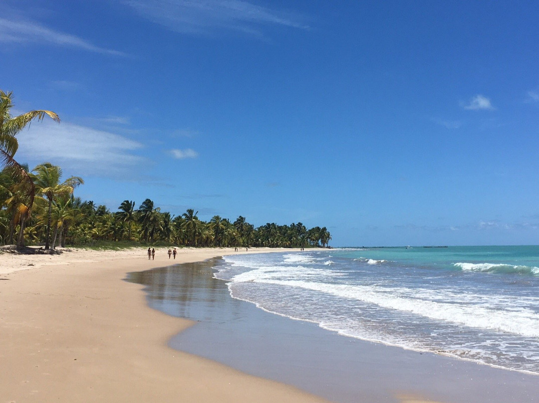 Praia de Ipioca景点图片