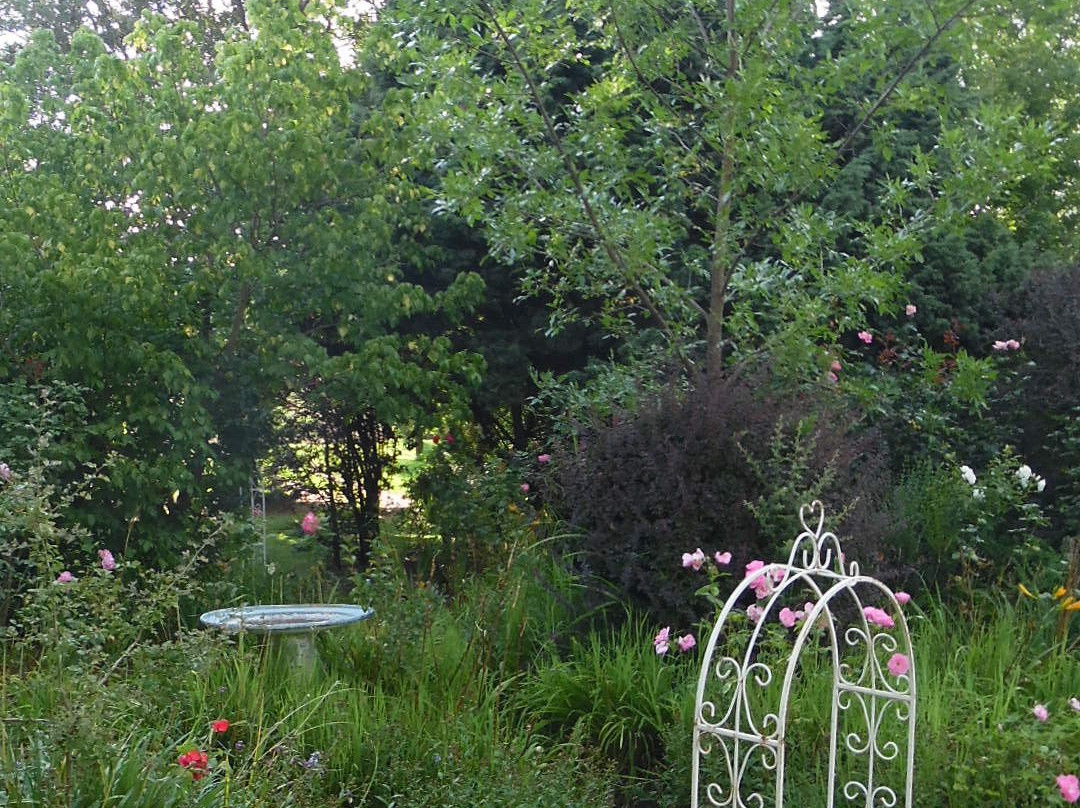 Toad Hall Guest House主图