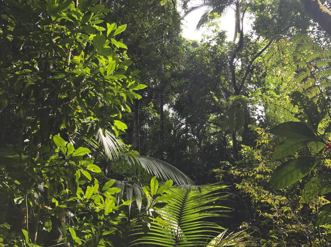 Djiru National Park-翁加灵海滩必去景点