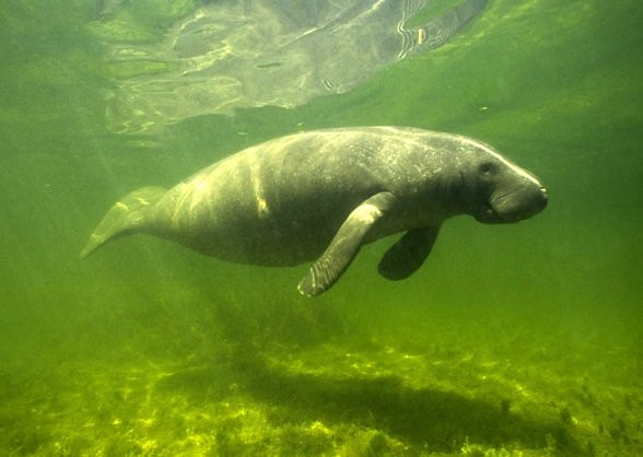 Pontal Beach-Japaratinga必去景点