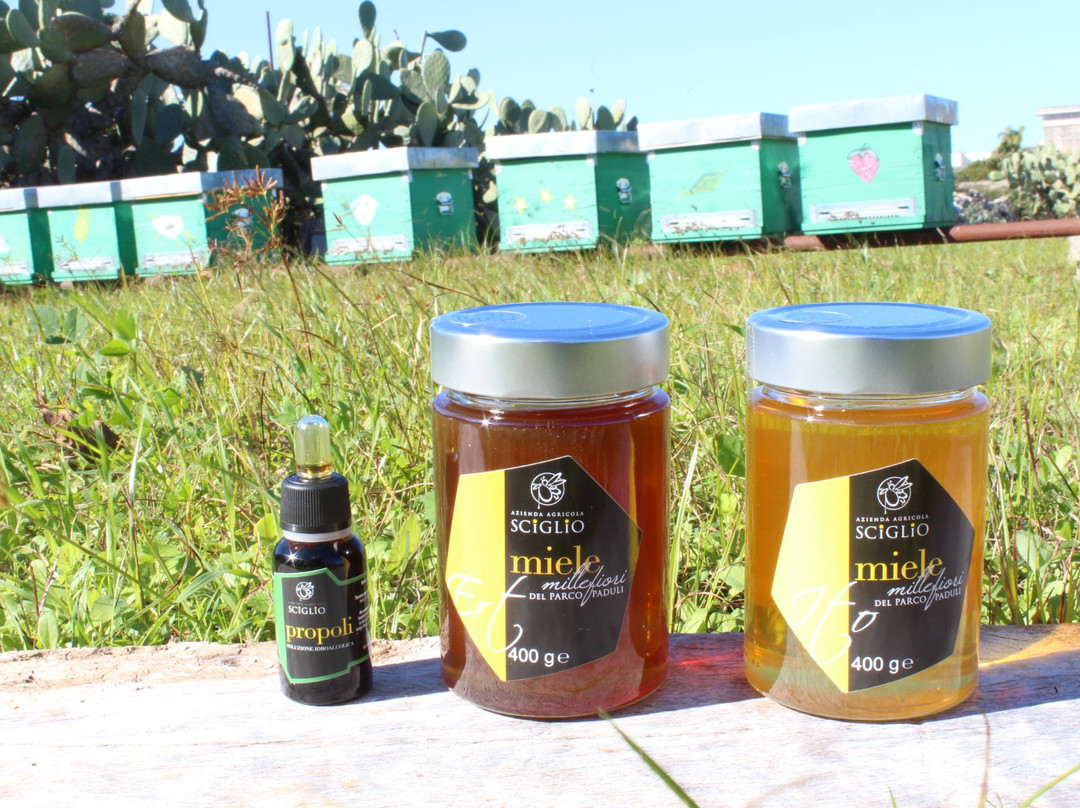 Azienda Agricola Sciglio - Le Api del Parco Paduli-Botrugno必去景点