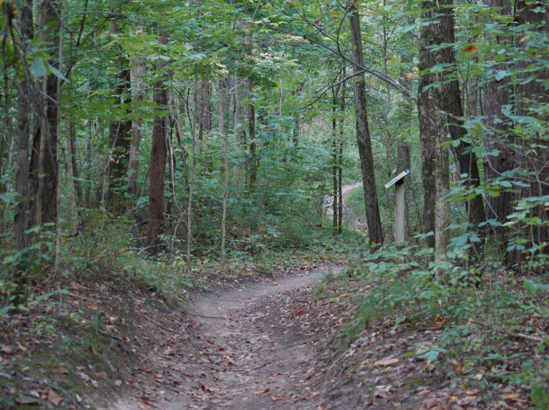 The Village at Winona-Winona Lake必去景点