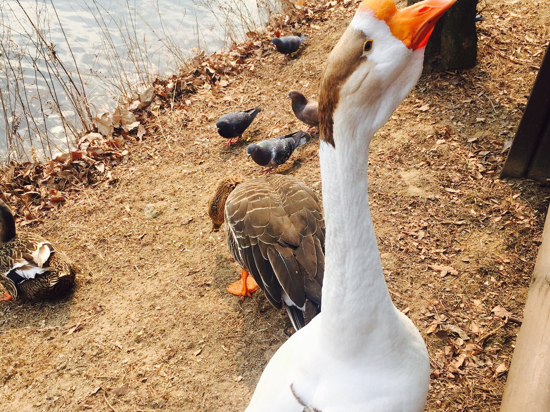 Yuldong Park-城南市必去景点
