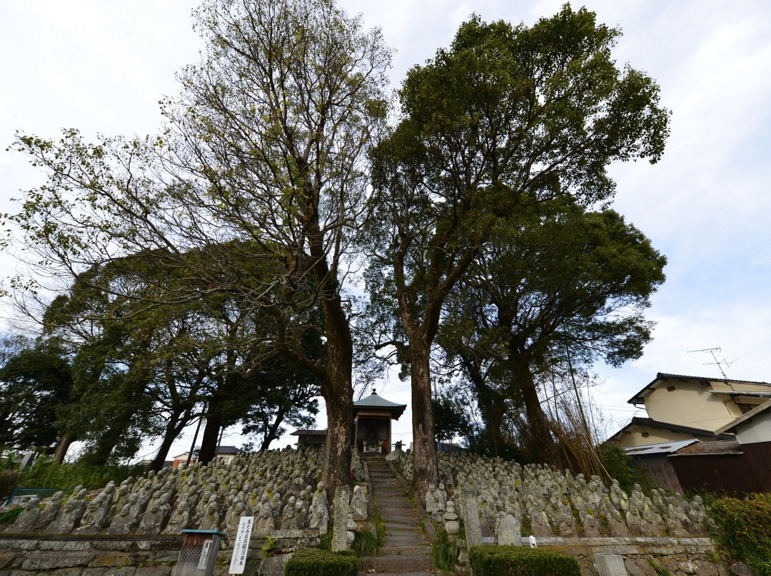 Tokoji Temple Five Hundred Arhats景点图片