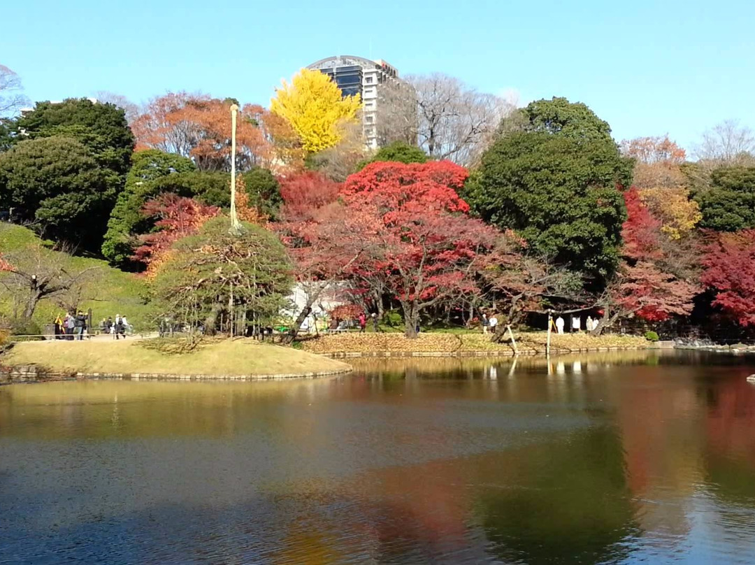 Koishikawa Botanical Garden景点图片
