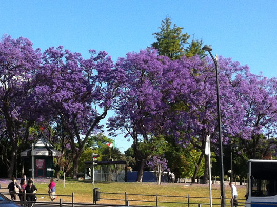 Santo Tours Portugal-里斯本必去景点